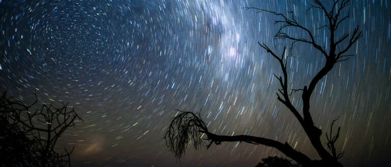 Read more about the article Ace that shot: Star Trail Images