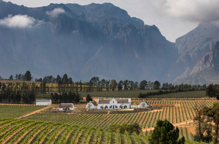 Read more about the article Road Tripping Through Paarl