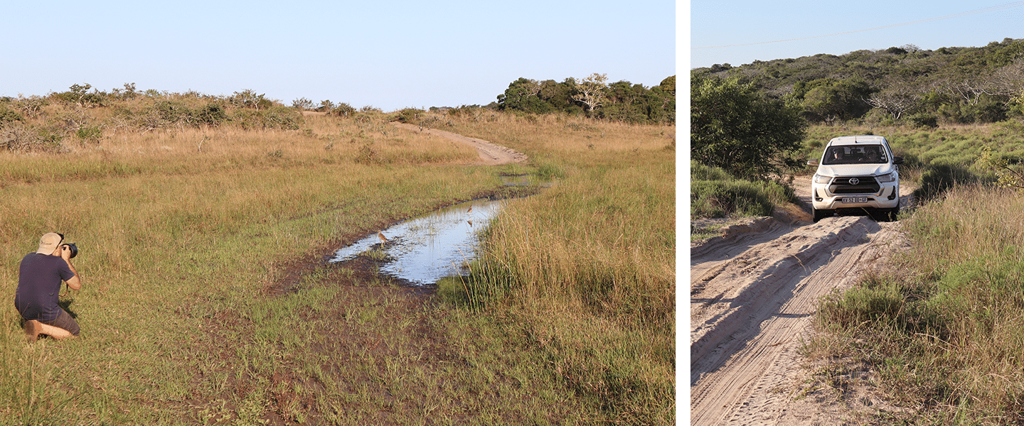 The rugged landscape of the Maputo National Park