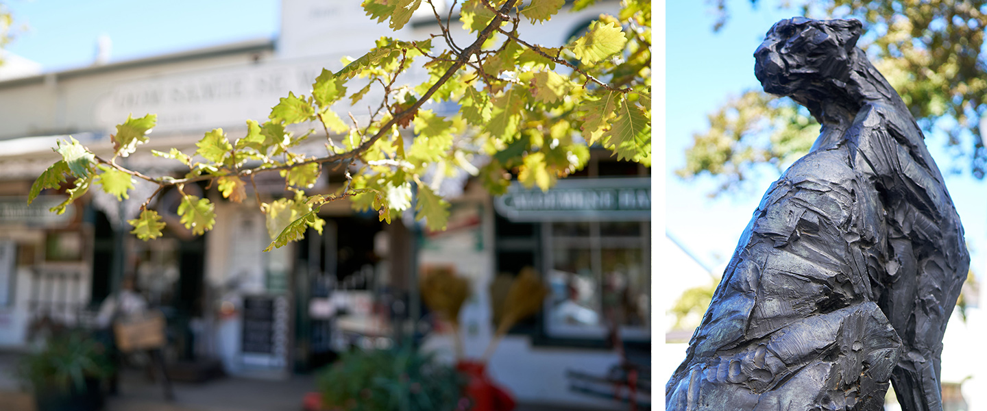 Scenes from the quaint town of Stellenbosch